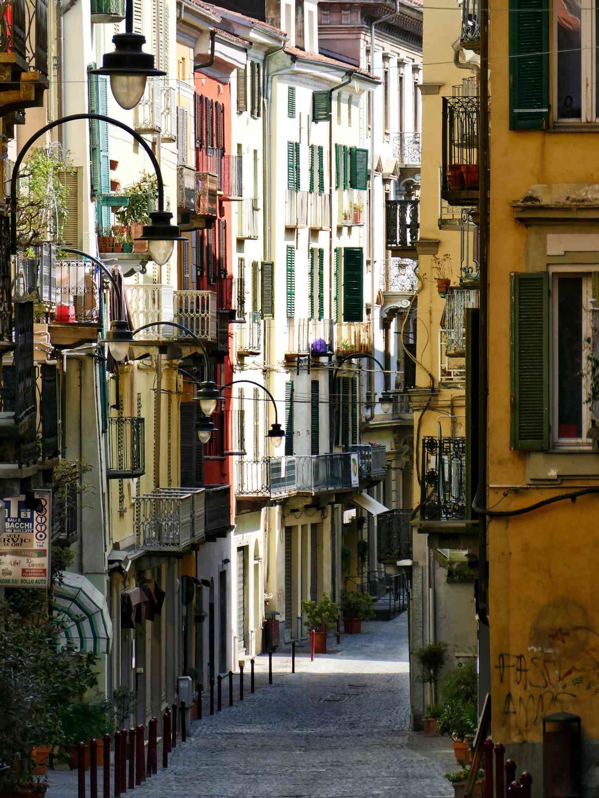 Immagine di sezione