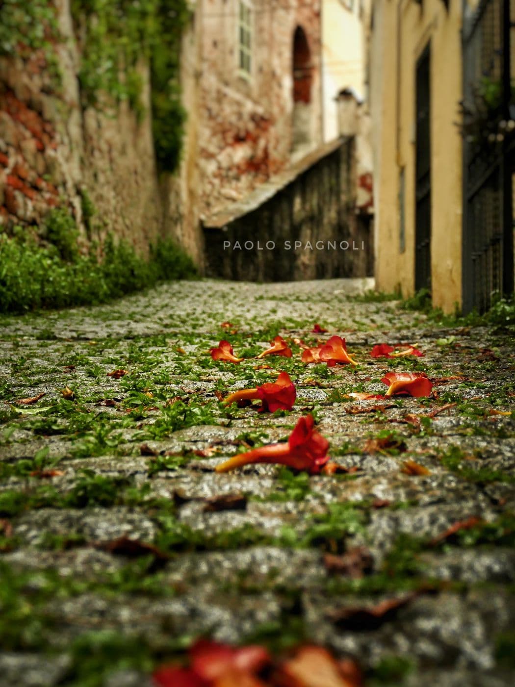 Via Peana